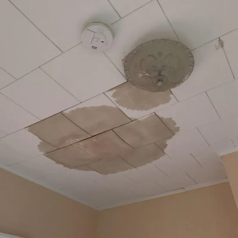 Ceiling Water Damage Repair in Silver Lake, OH