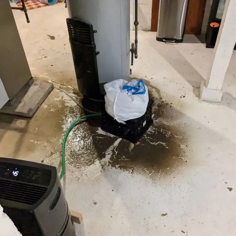 Sewage Backup Cleanup Service in Silver Lake, OH